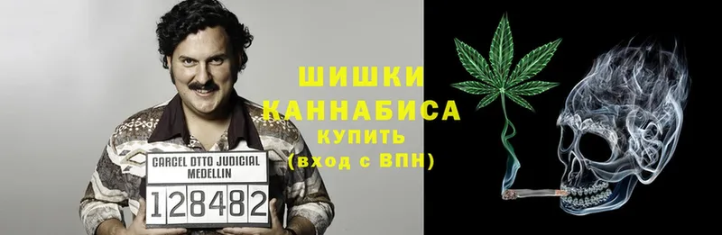 где купить наркоту  Дагестанские Огни  Канабис THC 21% 